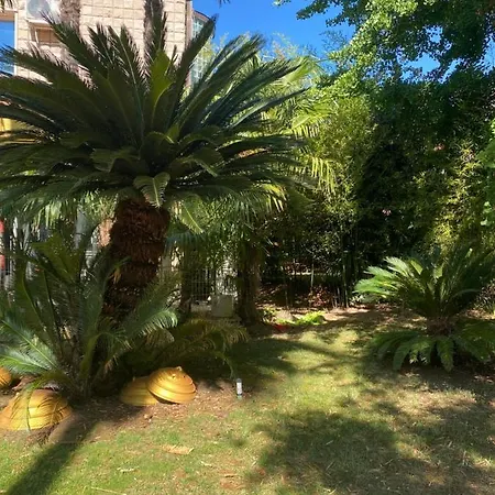 Apartman Apartmani Villa Mediterane *
